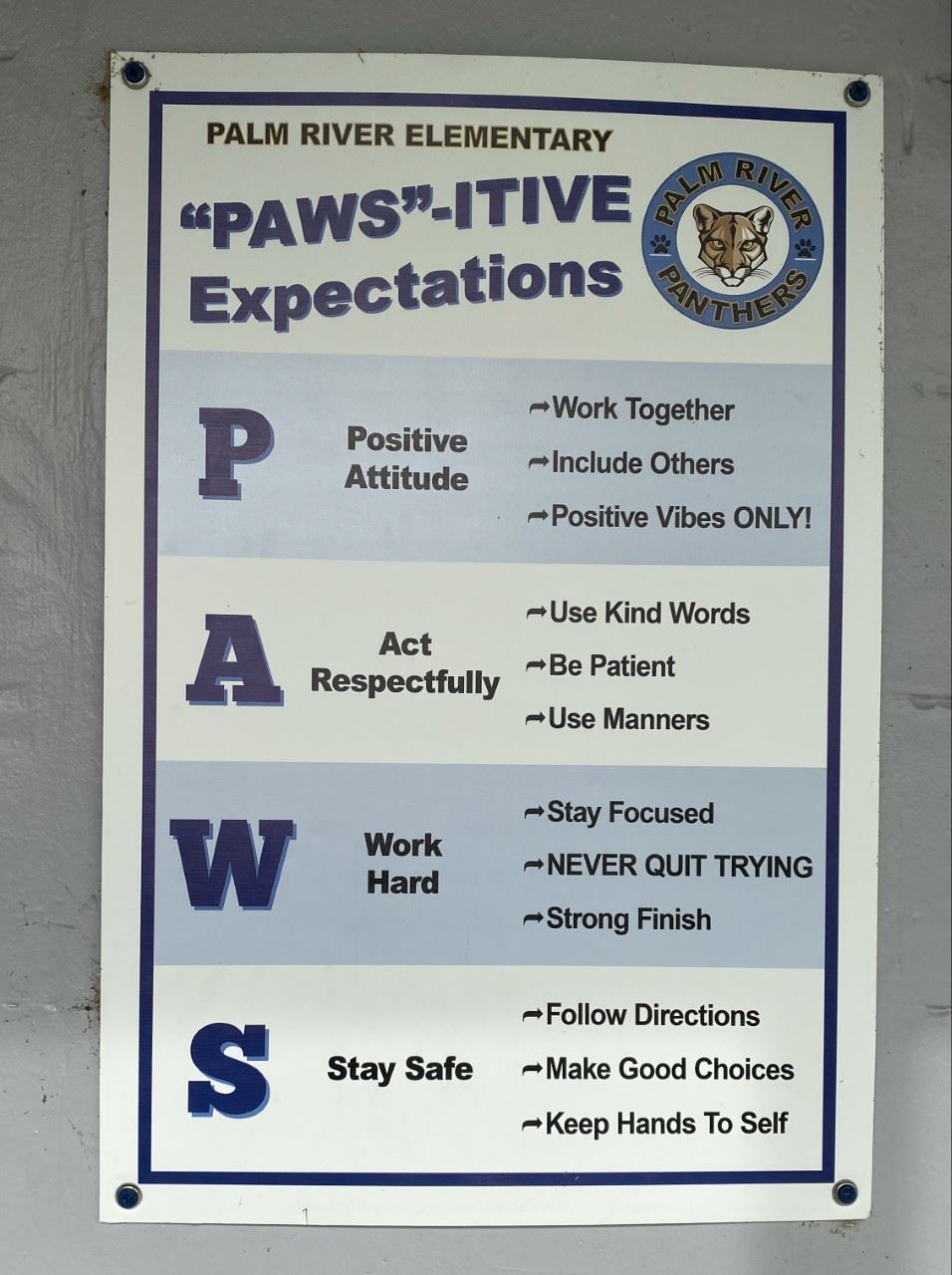 Pawsitive Expectaions